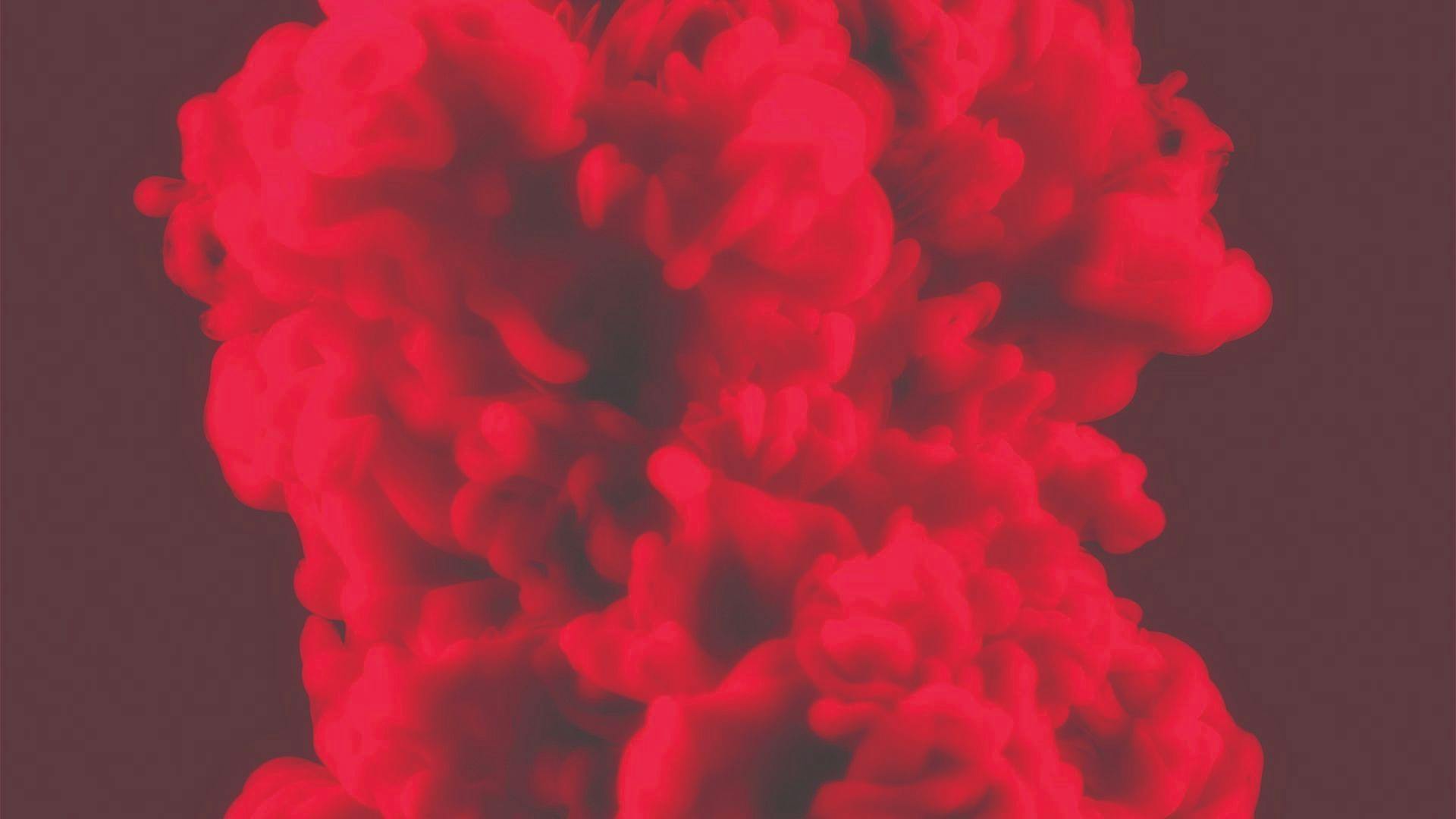 modern-flower-a-modern-approach-to-modern-cannabis-leafly